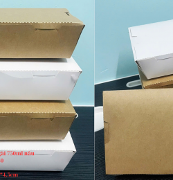 Hộp giấy nắp gài 750ml nâu